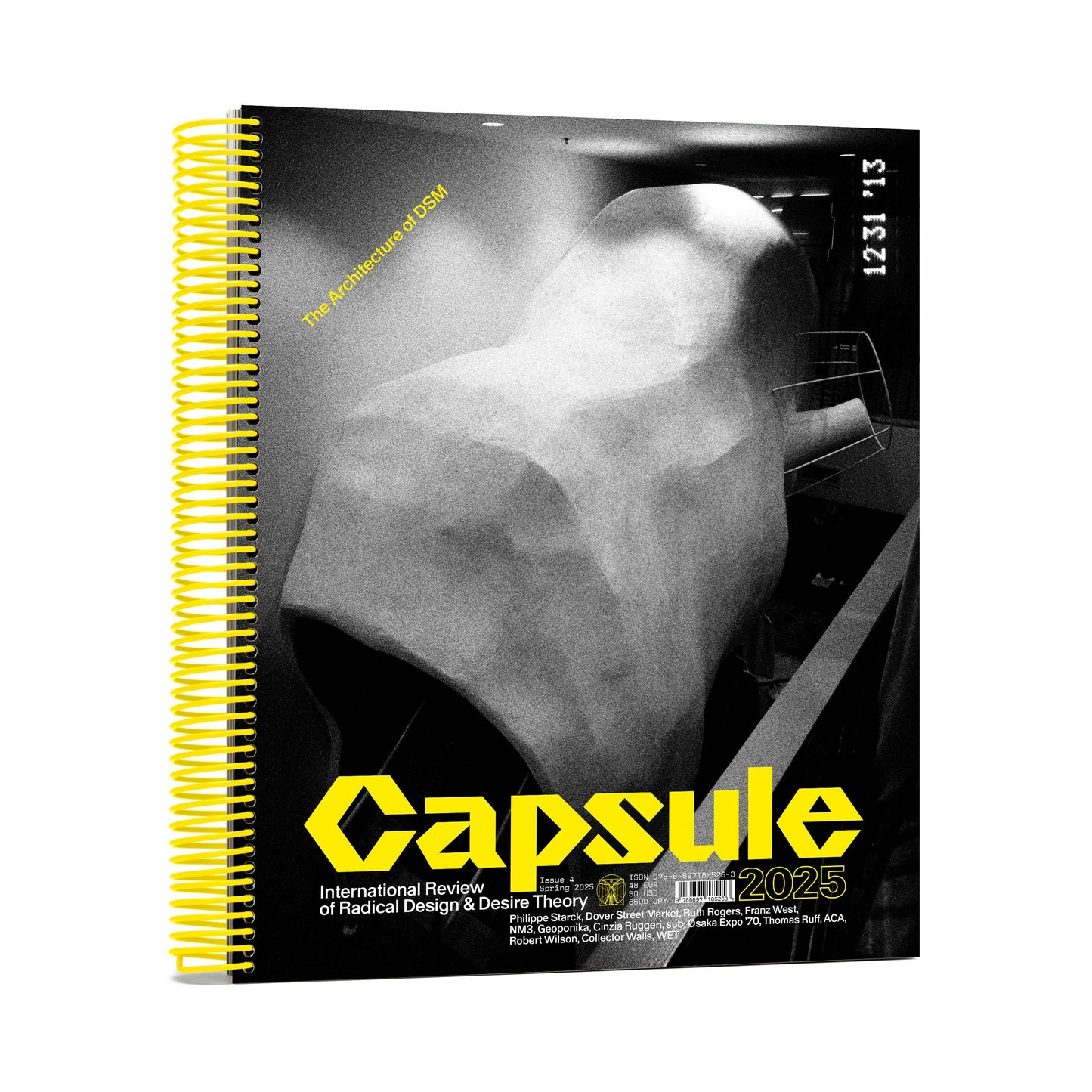 Capsule Issue 4 – The Architecture of DSM